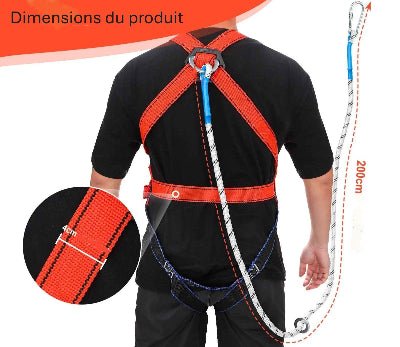 Harnais de Sécurité dimensions et vue attache arrière