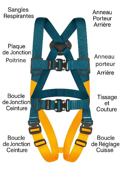 Harnais de sécurité identification des sections