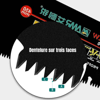 Scie egoine vue gros plan de la denture