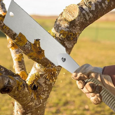 Scie japonaise ryoba utilisée pour le travail sur le terrain